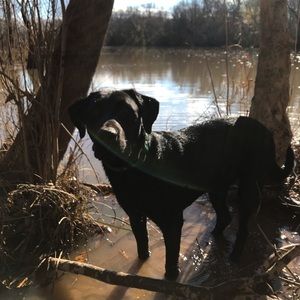 Meet your Posher, Matt